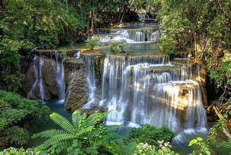 Tropical Waterfall River Cascades Trees Plants Hd Wallpaper Peakpx