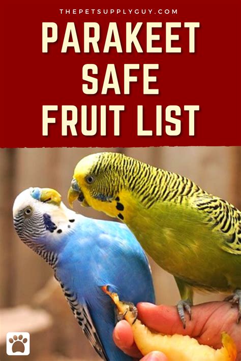 Can Parakeets Eat Fruit Complete List Of Fruits The Pet Supply
