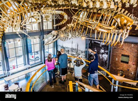 New Bedford Whaling Museum New Bedford Massachusetts Usa Stock Photo