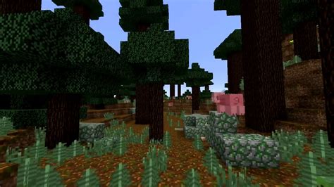 Taiga Forest Minecraft