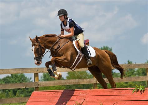 Show Jumping High Definiton HD Wallpapers - All HD Wallpapers