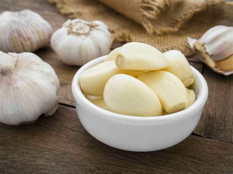 Garlic 10 Garlic Benefits 10faq
