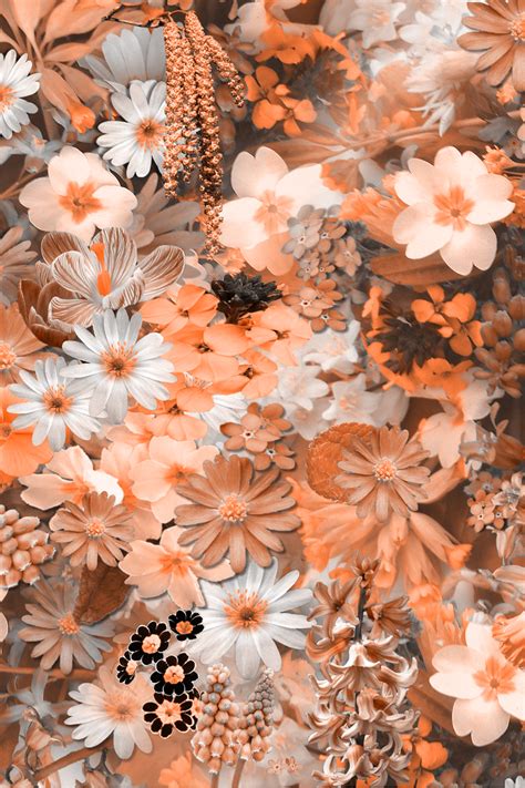 25 Outstanding Aesthetic Cute Flower Wallpaper You Can Download It At