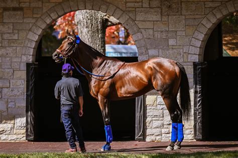 En Keeneland solo hablan de Flightline - Primera Hora