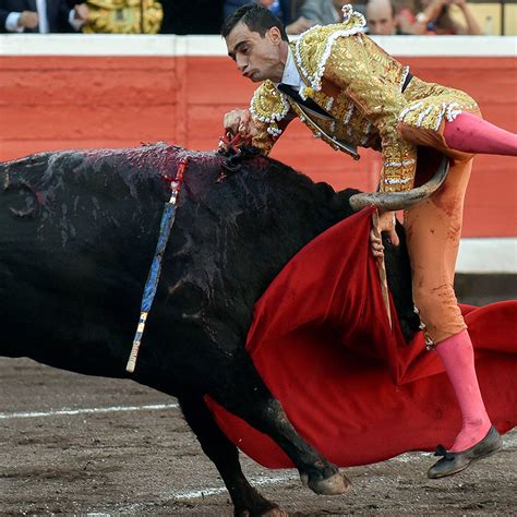 Hirdetés Orvosi Műhiba Megfázik Bull Matador Costume Tökéletes Gödör Jelölt