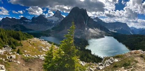 Best 10 Hikes And Trails In Mount Assiniboine Provincial Park Alltrails