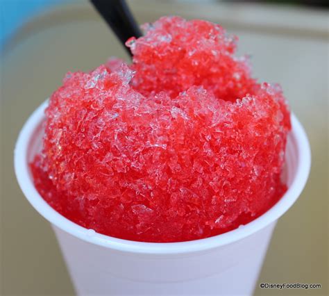 Review Snow Cone At Dino Diner In Animal Kingdoms Dinoland The