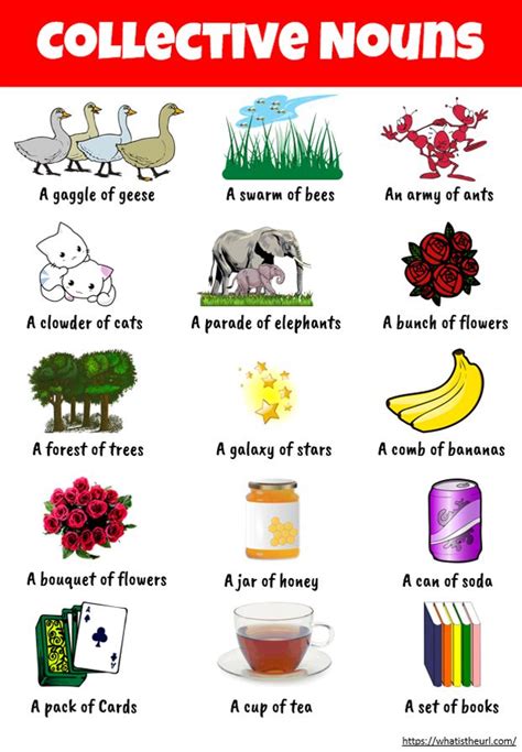 Collective Nouns Chart With Images Collective Nouns English Grammar
