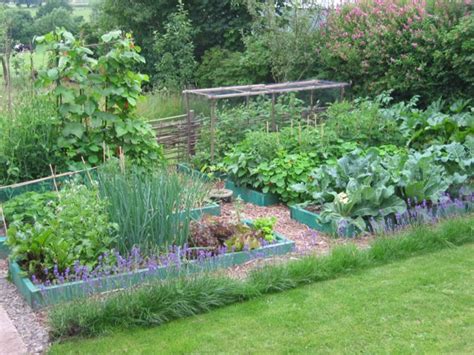 Announcing The Permaculture Blog The Permablog