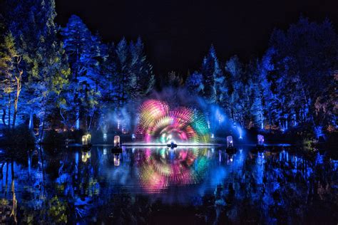 Enchanted Forest Shimmer In 2022 Enchanted Forest Pitlochry