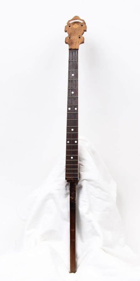 Lange Tenor Banjo Neck