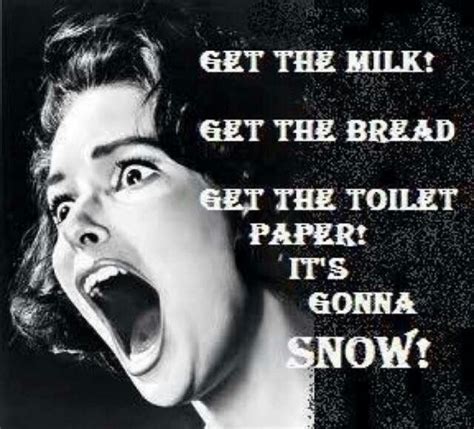 Snow Day Meme Funny Quotes Funny Pictures Funny