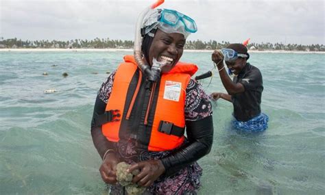 13 Women Farm Sponges To Protect Their Ocean And Their Income Twib News