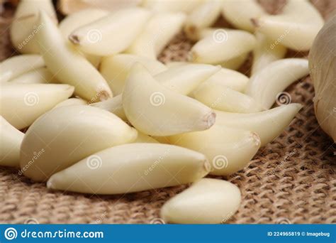 Raw Garlic Cloves And Bulb Stock Image Image Of Meal Ingredient