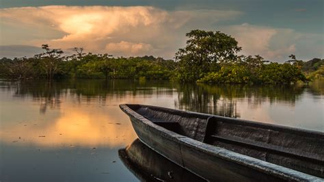 Canoeing Cruising Down The Amazon Andbeyond