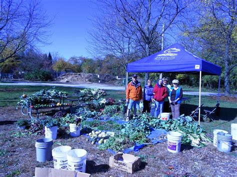 Local Gardeners And Garden Clubs Just Keep Growing With Generosity