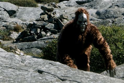 Bigfoot Sightings In New Hampshire Darren Garnicks