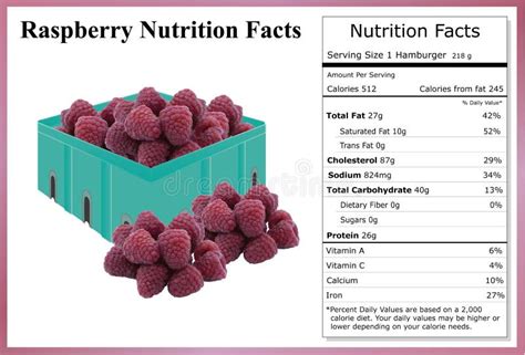 Raspberry Nutrition Facts Stock Illustration Illustration Of Label