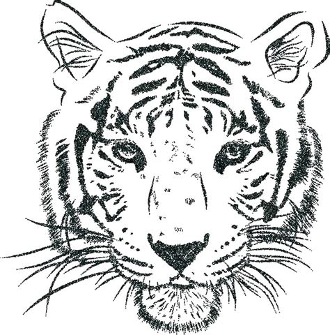 Tiger Drawing Outline At Explore Collection Of