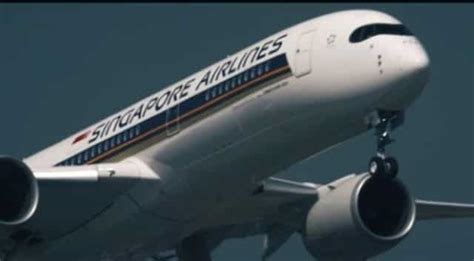 singapore airlines ends controversial rule of firing pregnant flight attendants world news
