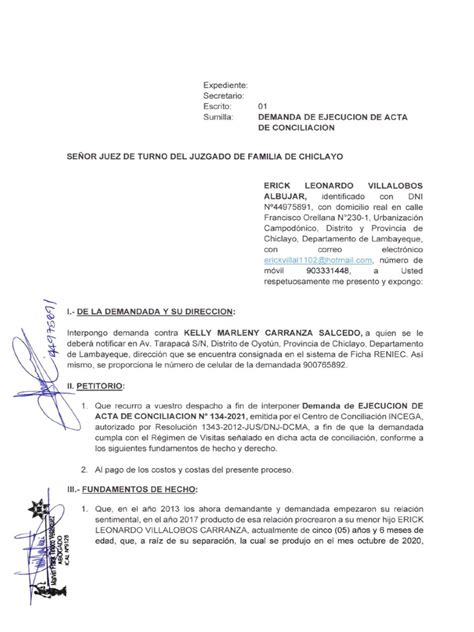 Demanda Ejecución De Acta De Conciliación Pdf