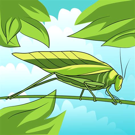 Katydid Leaf Bug Vector Free Stock Illustrations Creazilla