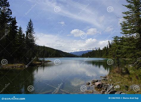 Panoramic Lake Stock Image Image Of Forest Reflection 2467055