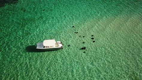 the 15 best stingray city tours in grand cayman 2024 small groups