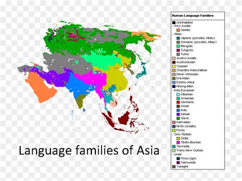 Language Families Of Asia Languages Of Asia Map Hd Png Download