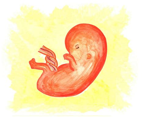 Simple Science: How to Make a Volcano with Kids