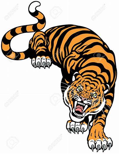 Tiger Angry Illustration Tattoo Clipart Chinese Roaring
