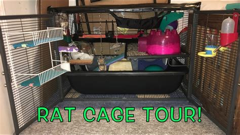 Single Critter Nation Rat Cage Tour 18 So Many Shelves Youtube