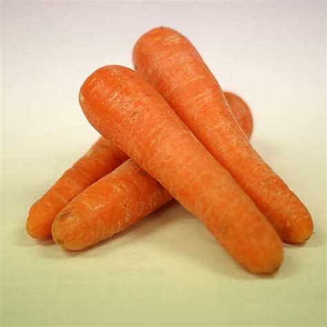 Carrots Juicing Organic Per Kg Petal And Bee Grocers