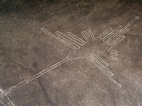 Nazca Lines More Than 100 Ancient Images Found Etched Into The