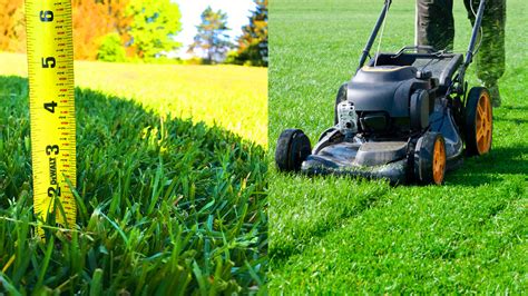 Jul 08, 2021 · if certain areas of your lawn are sparsely covered by grass, planting grass seed in those areas is a good way to prevent moss from covering those areas and improve the overall quality of your lawn. How To Plant Grass Seed On Existing Lawn