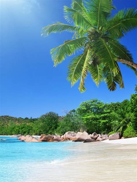 Free Download Tropical Beach Scenes Wallpaper 63374 1080x1920 For