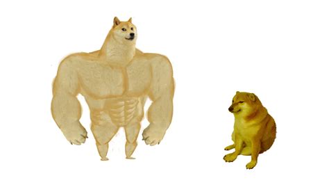 Buff Doge Vs Cheems Meme Generator Imgflip Memes Writing 42 Off