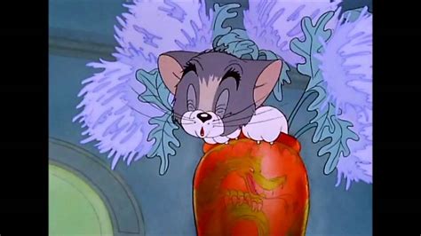 Tom And Jerry 4 Episode Fraidy Cat Youtube