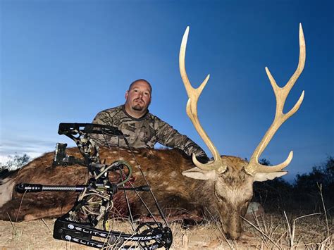 Dybowski Sika Pope Brothers Guide Service Hunts In Texas