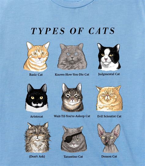 Types Of Cats Funny Mens Cottonpoly T Shirt Headline Shirts