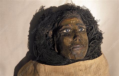 Queen Nennouttaoui Mummy Egypt Stock Image C010 3049 Science Photo Library