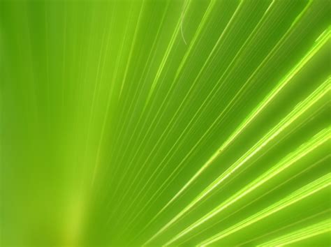 Green And White Lights Free Ppt Backgrounds For Your Powerpoint Templates