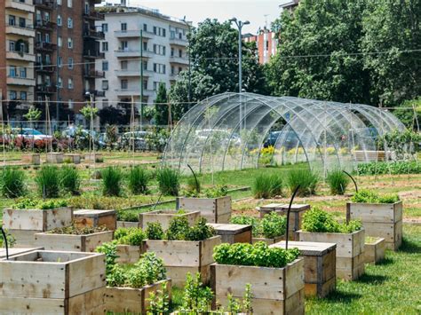 Urban Community Gardens Dealing With Urban Garden Problems