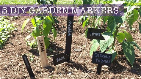 5 Cheap And Easy Diy Plant Markers Garden Labels Youtube