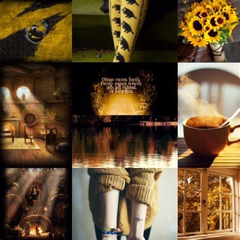 ↳ Hp Aesthetics Hufflepuff House You Might Star Chaser