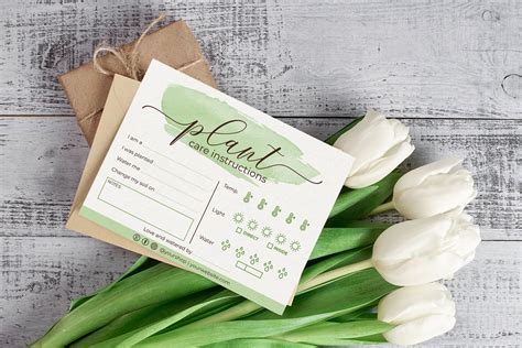 Editable Plant Care Card Digital Care Instructions For Plant Etsy