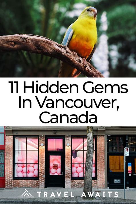 11 Amazing Hidden Gems In Vancouver Canada Vancouver Travel Canada