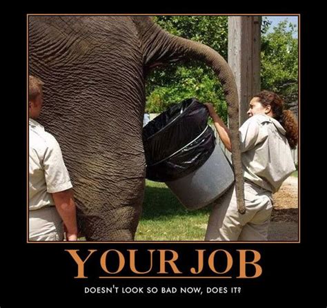 Funny Motivational Posters Your Job Funny Motivational Poster
