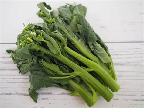 Growing Chinese Broccoli Planting Guide Care Troubleshooting And Uses