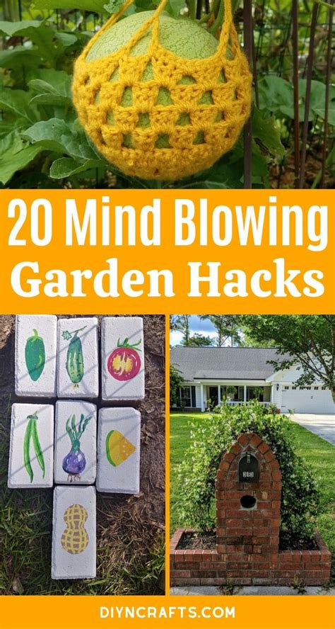 20 best gardening hacks for a spectacular harvest diy and crafts